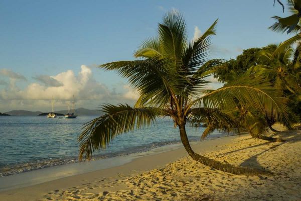 Caribbean, USA Virgin Islands Beach scenic
